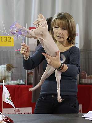 �������� ����� 22-23 ������ 2014 WCF-����� 169A9233 copy.jpg